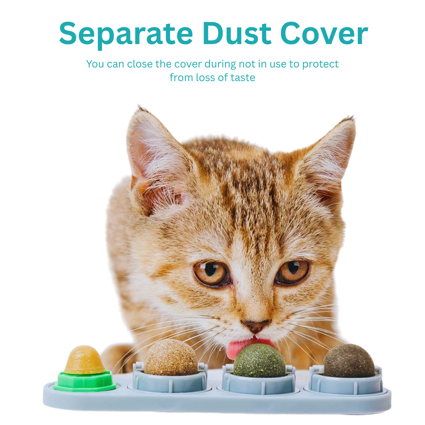 Kitty Kiss Balls – 4-in-1 Catnip & Silvervine Lick Treats