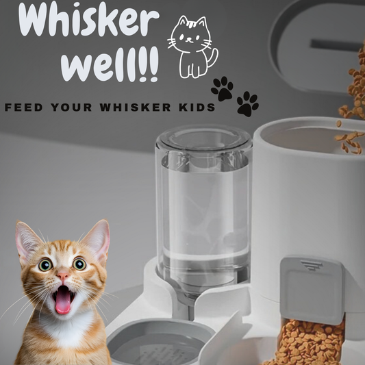 WhiskerWell - 2-in-1 Automatic Pet Feeder