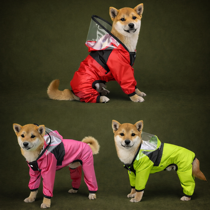 The Dog Face- Dog Raincoat