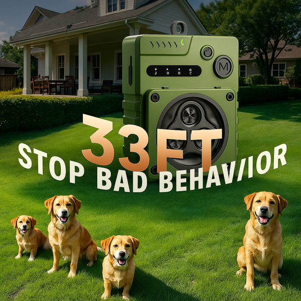 Silent Dog Bark Control Device