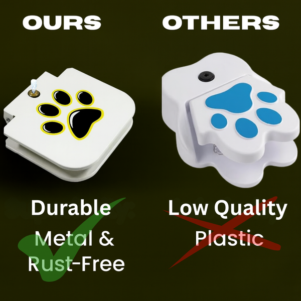 Paw Power Dog Fountain