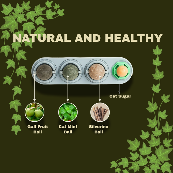 Catnip Fun Balls for Cats