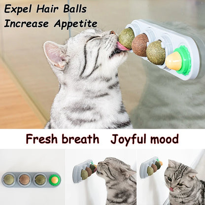 Kitty Kiss Balls – 4-in-1 Catnip & Silvervine Lick Treats
